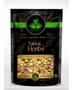 Kateli Phal - Katehli Phal - Solanum Xanthocarpum - Bhatkatiya